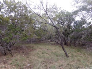 Frio First Real Estate